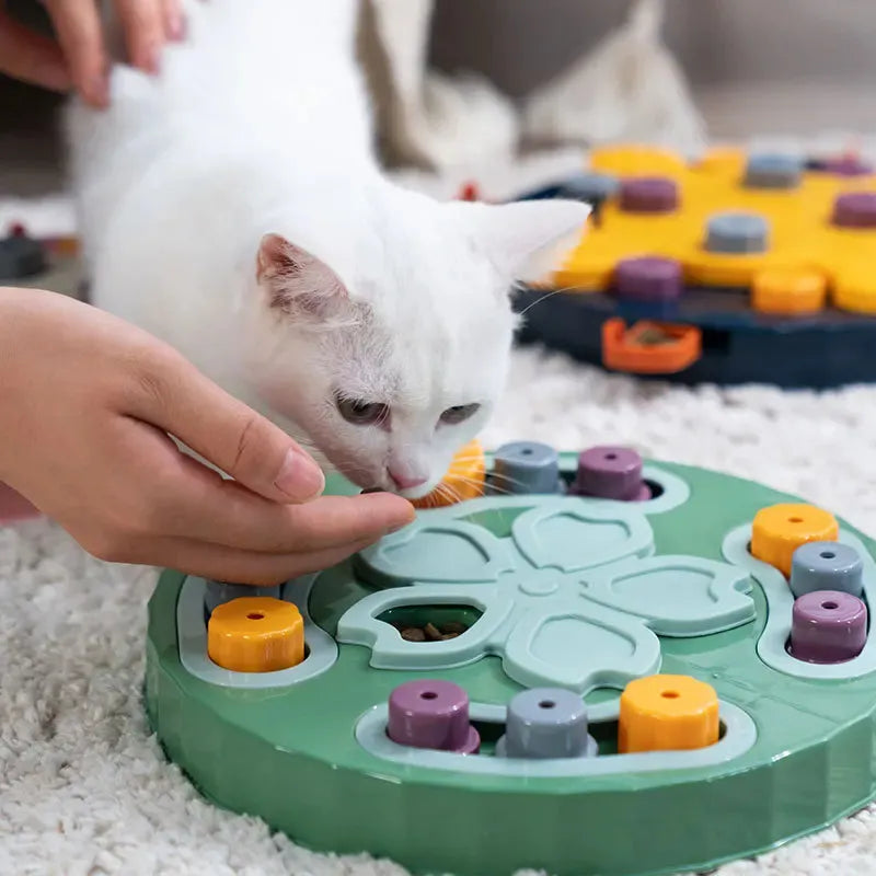 Cat playing with a puzzle toy on a carpeted floor
