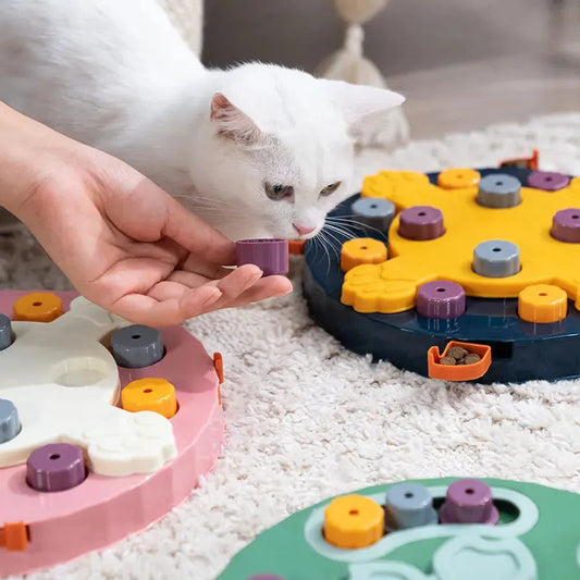 White cat interacting with a colorful puzzle toy on a carpeted floor.