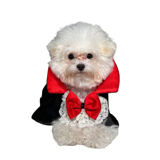 Dog Halloween Costume