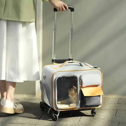 Person pulling a pet carrier with a cat inside on a sidewalk.