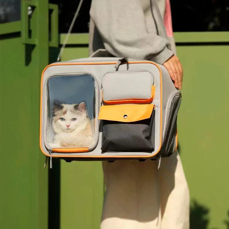 Person holding a pet carrier with a cat peeking out against a green background