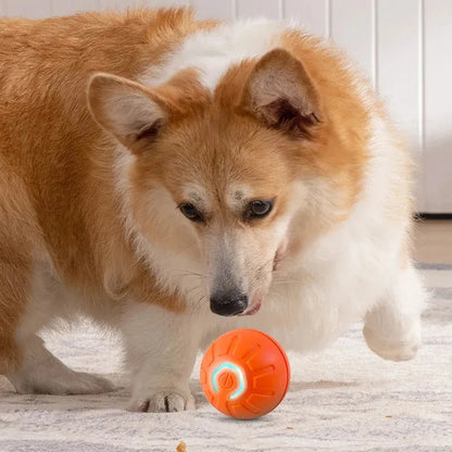 Smart USB Jumping Ball Toy - Pet Bond Store